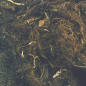 Preview: Torffaser, 60g Faltschachtel