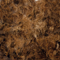 Preview: Torffaser, 60g Faltschachtel